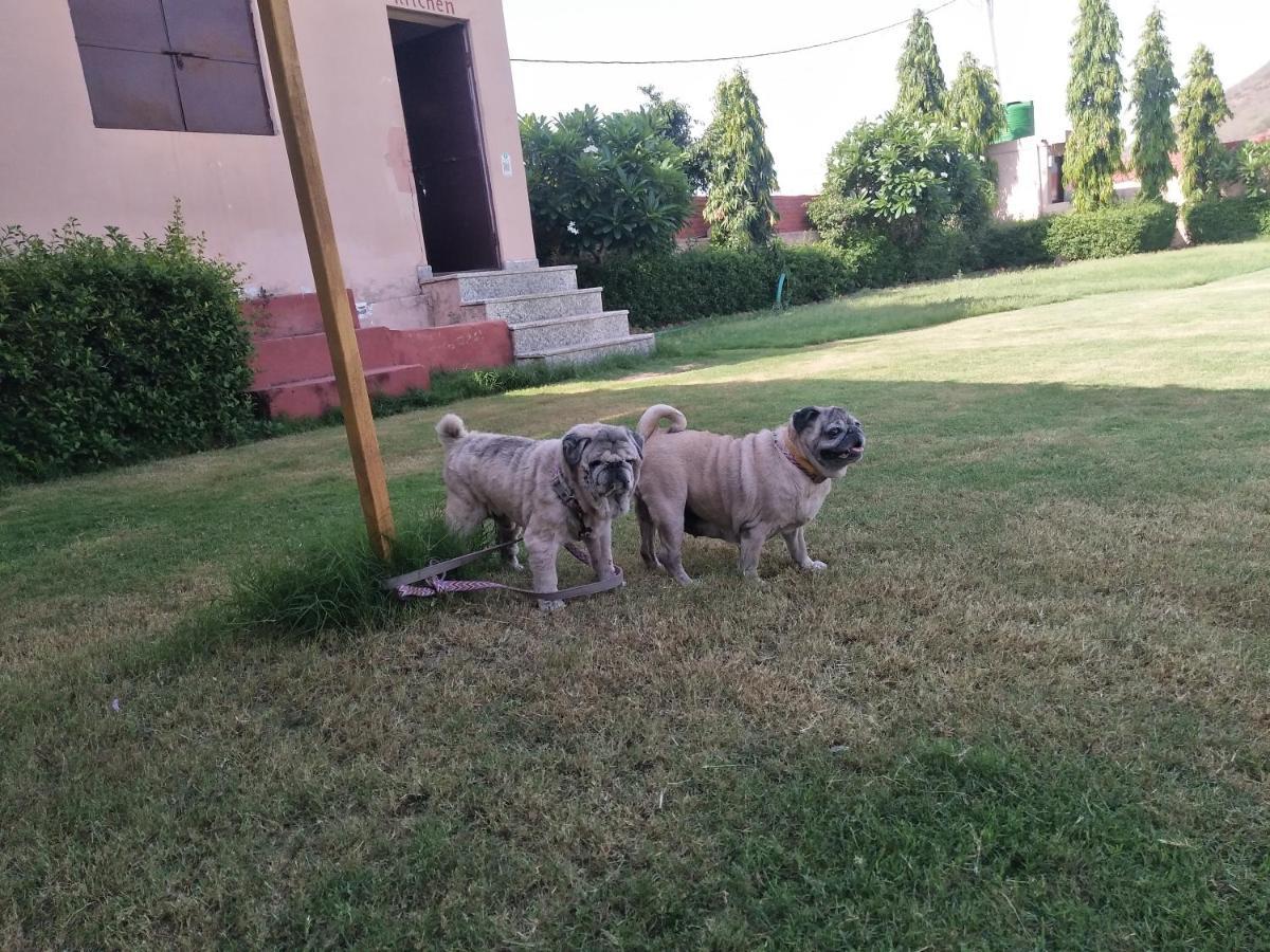 Pari Resort With Nature View Pushkar Bagian luar foto